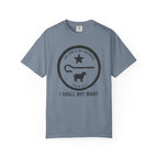 I Shall Not Want T-Shirt