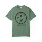 I Shall Not Want T-Shirt